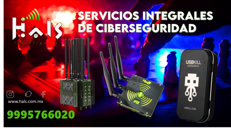 Servicios integrales de ciberseguridad de Hals Intelligence: Protección más allá del barrido electrónico