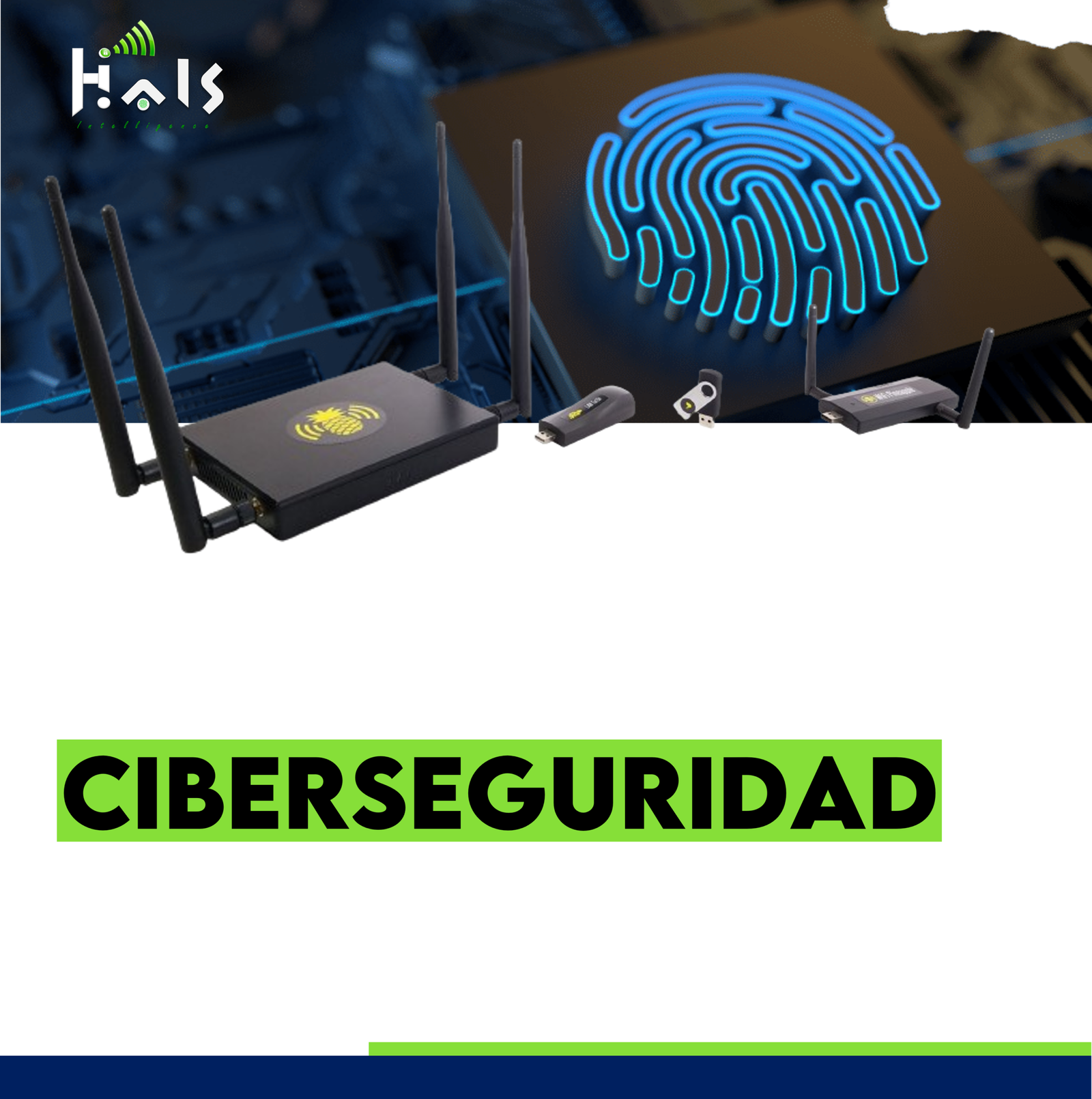 ciberseguridad
