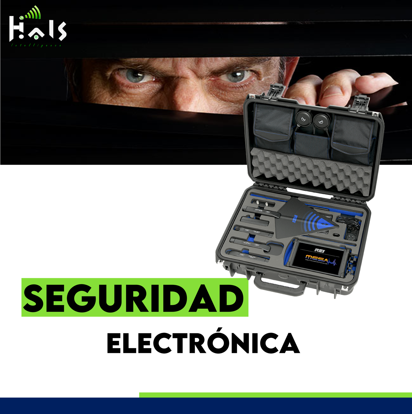 seguridad electronica